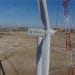 iberdrola