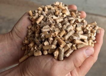 biomasa