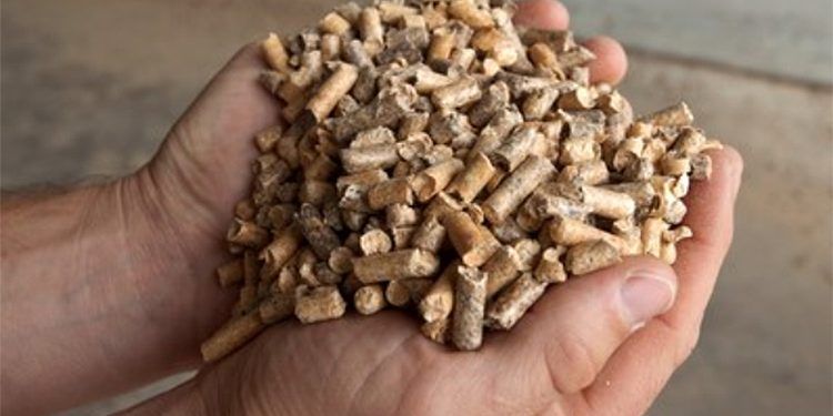 Crece el consumo de biomasa forestal en Cataluña.