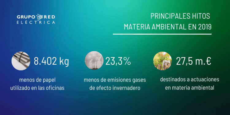 Las últimas iniciativas medioambientales de Red Eléctrica