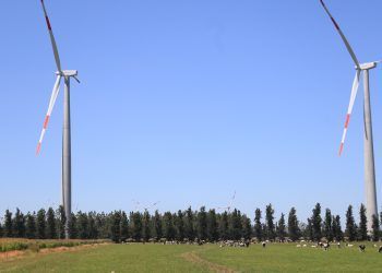 acciona