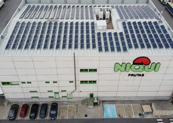 La instalación de Opengy de autoconsumo es para la sede de la compañía de Mercamadrid: Frutas Niqui Madrimport.