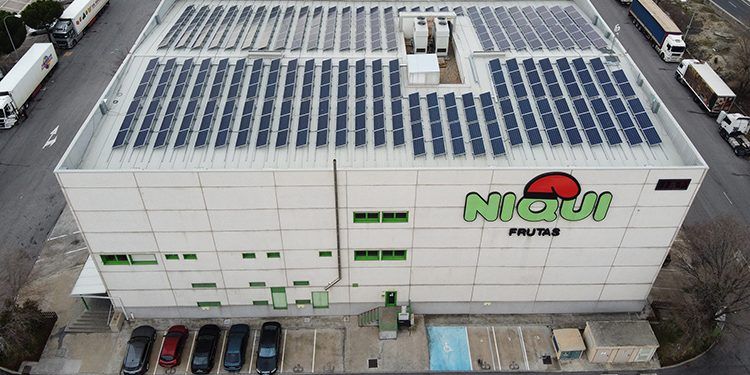 La instalación de Opengy de autoconsumo es para la sede de la compañía de Mercamadrid: Frutas Niqui Madrimport.