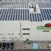 La instalación de Opengy de autoconsumo es para la sede de la compañía de Mercamadrid: Frutas Niqui Madrimport.