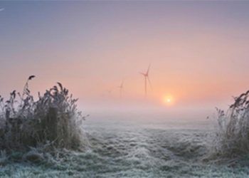 Amanecer helado en Pingjum Frisia, Países Bajos. FOTO: Calendario 2020 de la Organización Meteorológica Mundial/Anna Zuidema.
