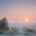 Amanecer helado en Pingjum Frisia, Países Bajos. FOTO: Calendario 2020 de la Organización Meteorológica Mundial/Anna Zuidema.