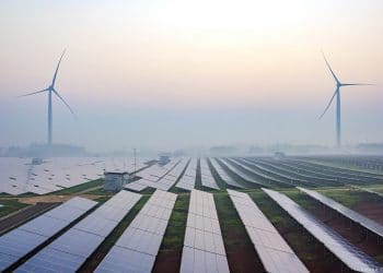 neutralidad climática