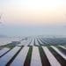 neutralidad climática