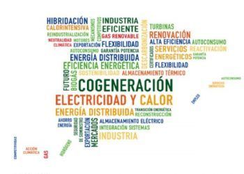 XVI Congreso Anual de Cogeneración