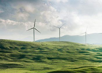 mercado eléctrico