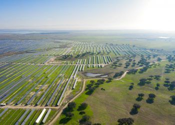Así son los dos parques solares que Solarcentury prepara en Valencia