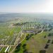 Así son los dos parques solares que Solarcentury prepara en Valencia