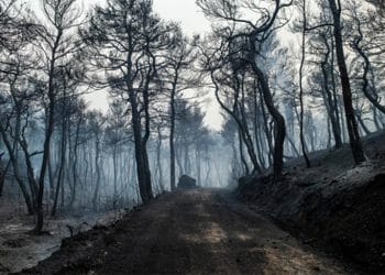El Parlamento Europeo ha votado una resolución para que la UE se prepare mejor para adaptarse al cambio climático. Foto: © AFP / ANGELOS TZORTZINIS