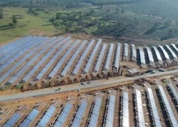 La subasta de renovables que se va a celebrar mañana cuenta con más de 150 empresas inscritas.