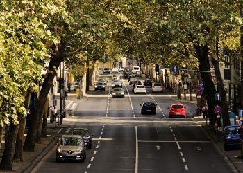 ¿Cuáles son las medidas más efectivas para descarbonizar el transporte en España?