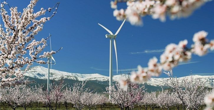 iberdrola