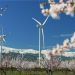 iberdrola