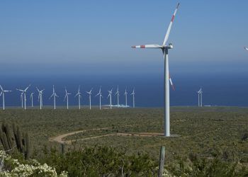 La Plataforma de Inversión Climática de IRENA trabajará en América Latina y el Caribe