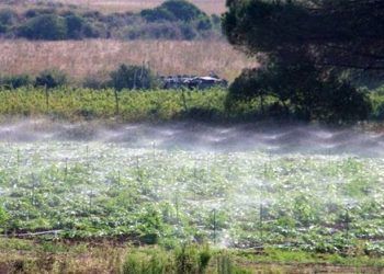 Plan de ayudas para explotaciones agropecuarias