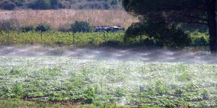 Plan de ayudas para explotaciones agropecuarias