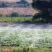 Plan de ayudas para explotaciones agropecuarias