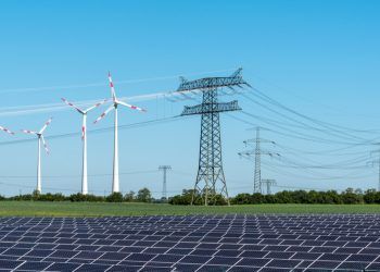 El uso de la energía renovable en 2020 supera en casi el 50 % al de 2019