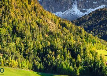 "Recommendations for the Transition to a Green Travel and Tourism Economy". Desarrollado por la OMT (UNWTO) y el grupo de trabajo de turismo del G20 con ocasión de la presidencia de Italia en 2021.