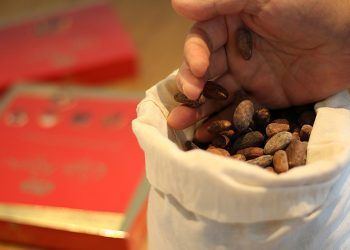 Cascarilla de cacao para la caldera de biomasa de la planta de Nestlé de La Penilla.