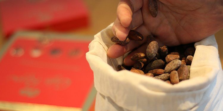 Cascarilla de cacao para la caldera de biomasa de la planta de Nestlé de La Penilla.