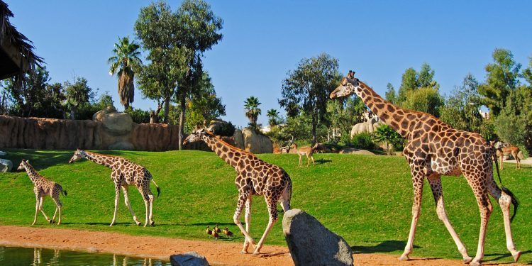 bioparc