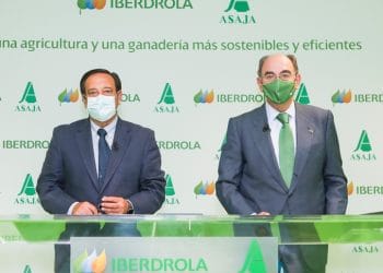 iberdrola