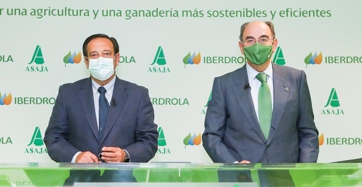 iberdrola