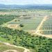 valdesolar