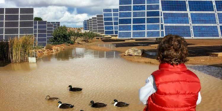 UNEF defiende que la energía fotovoltaica es la solución más barata rebajar la factura de la luz