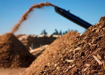 El CSIC desarrollará biorrefinerías para transformar biomasa en combustibles y productos renovables