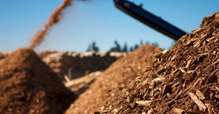 El CSIC desarrollará biorrefinerías para transformar biomasa en combustibles y productos renovables