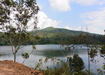 Elecnor se adjudica un contrato de rehabilitación medioambiental en Camerún por valor de casi 20 millones de euros
