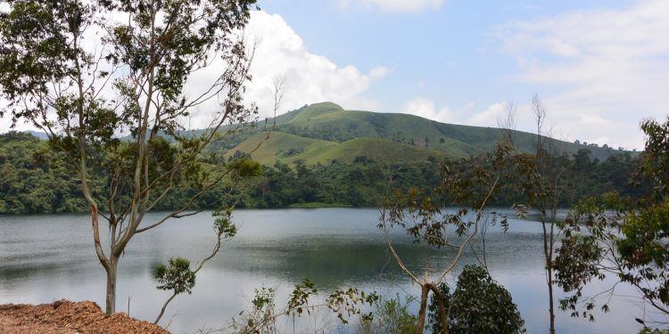 Elecnor se adjudica un contrato de rehabilitación medioambiental en Camerún por valor de casi 20 millones de euros