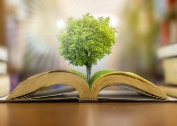 educación medioambiental