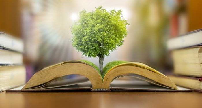 educación medioambiental