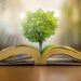 educación medioambiental