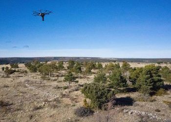 Iberdrola reforestará con semillas inteligentes los pueblos de España más comprometidos con la sostenibilidad