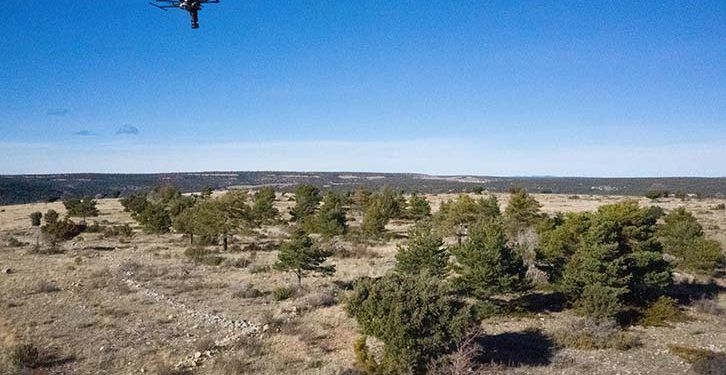 Iberdrola reforestará con semillas inteligentes los pueblos de España más comprometidos con la sostenibilidad