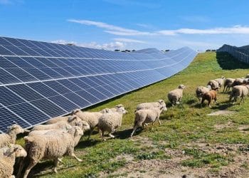 Solarpack lanza el primer sistema de autoconsumo solar con gestión en remoto