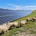 Solarpack lanza el primer sistema de autoconsumo solar con gestión en remoto