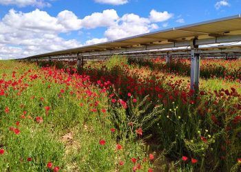 matrix renewables