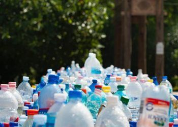 Nuevas normas sobre envases.