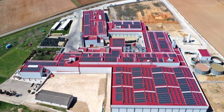 eidf solar