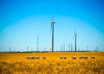 Iberdrola inicia la construcción del parque eólico Korytnica II, en Polonia