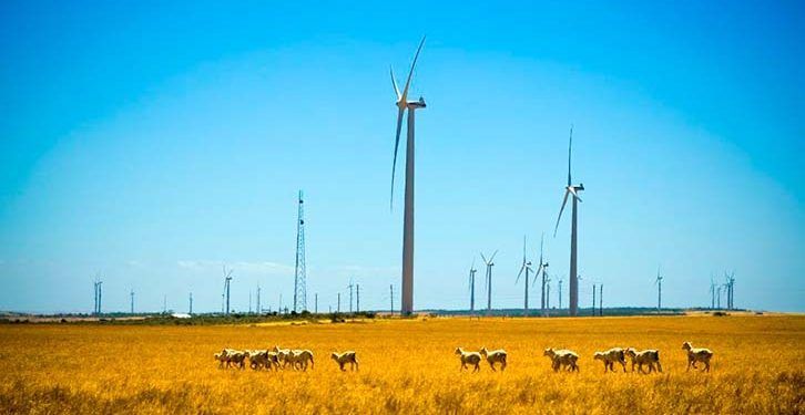 Iberdrola inicia la construcción del parque eólico Korytnica II, en Polonia